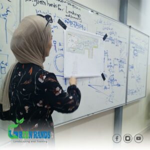 تنسيق حدائق مبتدئة